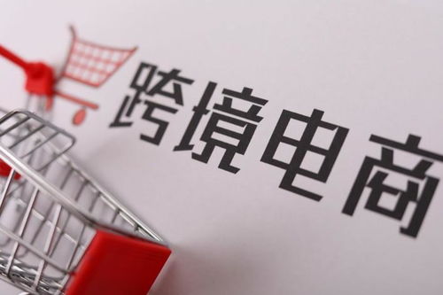 跨境電商選品干貨 全國商品產業鏈大全 下